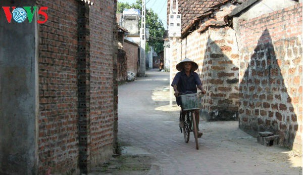 Характерные черты традиционной деревни на севере Вьетнама - ảnh 1